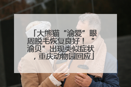 大熊猫“渝爱”眼周脱毛恢复良好！“渝贝”出现类似症状，重庆动物园回应