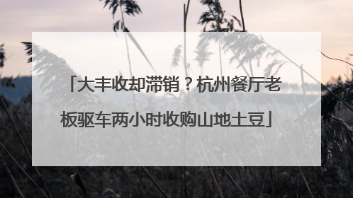 大丰收却滞销？杭州餐厅老板驱车两小时收购山地土豆
