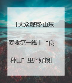 大众观察·山东麦收第一线丨“良种田”里产好粮