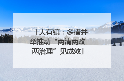 大有镇：多措并举推动“两清两改两治理”见成效