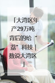 大湾区年产29万吨背后的给“荔”科技｜数说大湾区