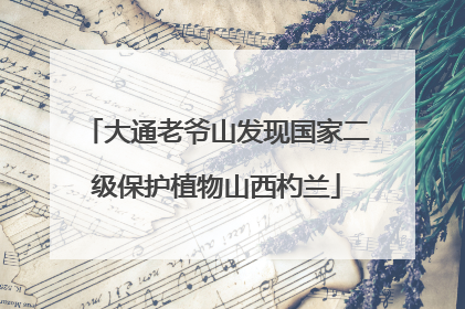 大通老爷山发现国家二级保护植物山西杓兰