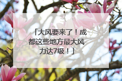 大风要来了！成都这些地方最大风力达7级！