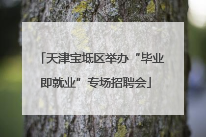 天津宝坻区举办“毕业即就业”专场招聘会