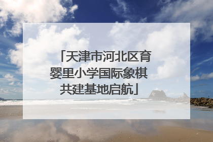天津市河北区育婴里小学国际象棋共建基地启航