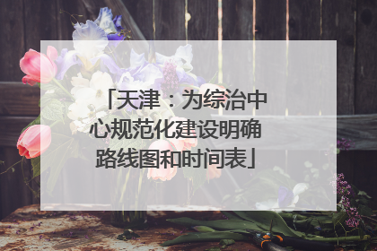 天津：为综治中心规范化建设明确路线图和时间表