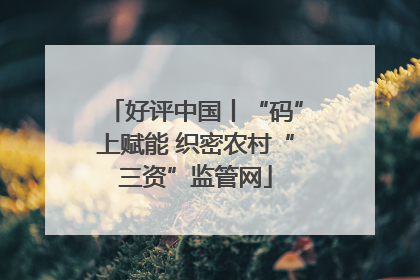 好评中国丨“码”上赋能 织密农村“三资”监管网
