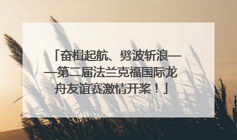 奋楫起航、劈波斩浪——第二届法兰克福国际龙舟友谊赛激情开桨！