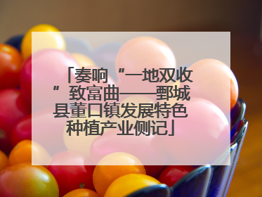 奏响“一地双收”致富曲——鄄城县董口镇发展特色种植产业侧记