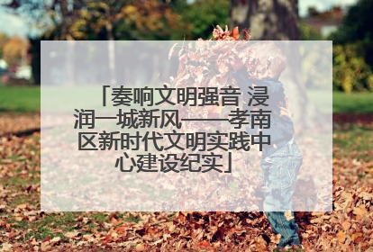 奏响文明强音 浸润一城新风——孝南区新时代文明实践中心建设纪实