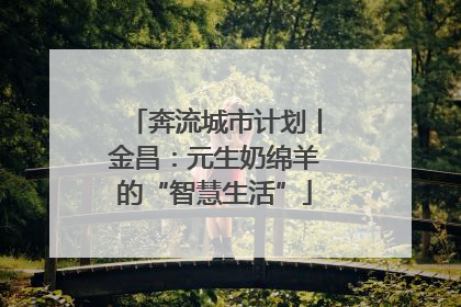 奔流城市计划丨金昌：元生奶绵羊的“智慧生活”