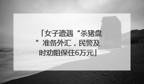 女子遭遇“杀猪盘”准备外汇，民警及时劝阻保住6万元