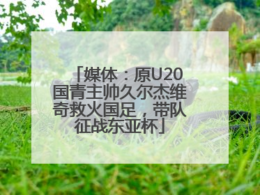 媒体：原U20国青主帅久尔杰维奇救火国足，带队征战东亚杯