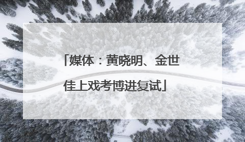 媒体：黄晓明、金世佳上戏考博进复试
