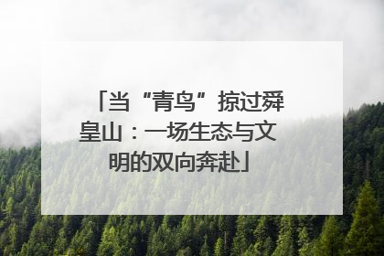 当“青鸟”掠过舜皇山：一场生态与文明的双向奔赴