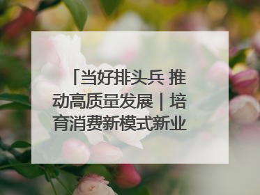 当好排头兵 推动高质量发展｜培育消费新模式新业态 释放经济增长新动能