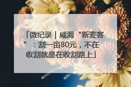 微纪录｜威海“新麦客”：割一亩80元，不在收割就是在收割路上