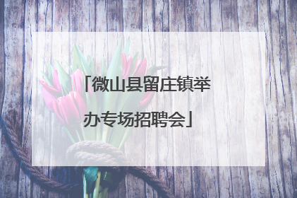 微山县留庄镇举办专场招聘会