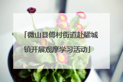 微山县傅村街道赴驩城镇开展观摩学习活动
