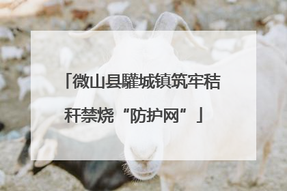 微山县驩城镇筑牢秸秆禁烧“防护网”