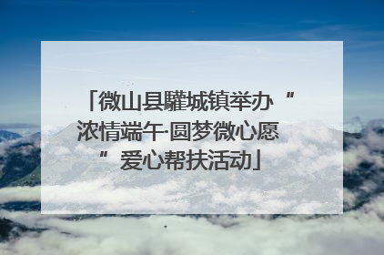 微山县驩城镇举办“浓情端午·圆梦微心愿”爱心帮扶活动