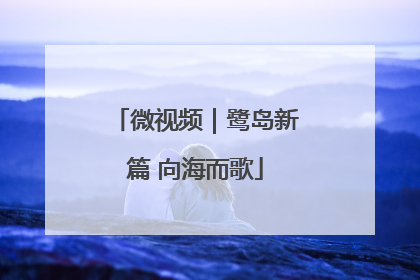 微视频｜鹭岛新篇 向海而歌