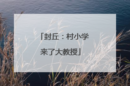封丘：村小学来了大教授