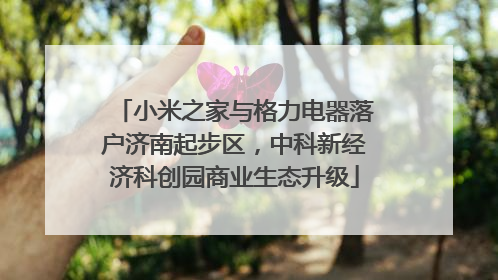 小米之家与格力电器落户济南起步区，中科新经济科创园商业生态升级
