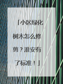 小区绿化树木怎么修剪？淮安有了标准！