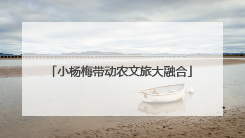 小杨梅带动农文旅大融合