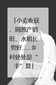 小麦收获、圆葱产销旺、水稻长势好……乡村处处是“丰”景