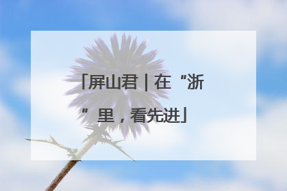 屏山君｜在“浙”里，看先进