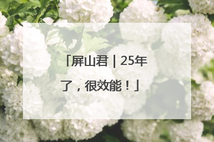 屏山君｜25年了，很效能！