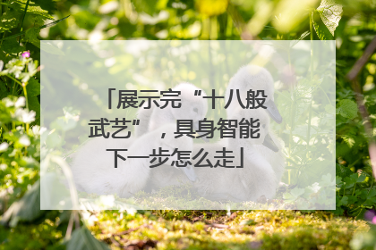 展示完“十八般武艺”，具身智能下一步怎么走