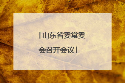 山东省委常委会召开会议