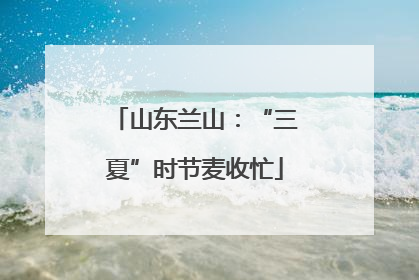山东兰山：“三夏”时节麦收忙