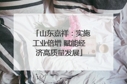 山东嘉祥：实施工业倍增 赋能经济高质量发展