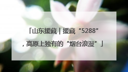 山东援藏｜援藏“5288”，高原上独有的“烟台浪漫”