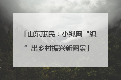 山东惠民：小绳网“织”出乡村振兴新图景