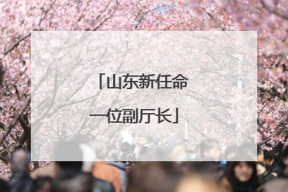 山东新任命一位副厅长