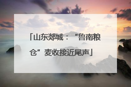 山东郯城：“鲁南粮仓”麦收接近尾声