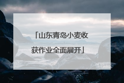 山东青岛小麦收获作业全面展开