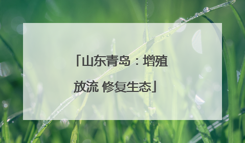 山东青岛：增殖放流 修复生态
