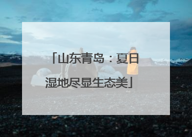 山东青岛：夏日湿地尽显生态美