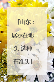 山东：展示在地头 选种有准头