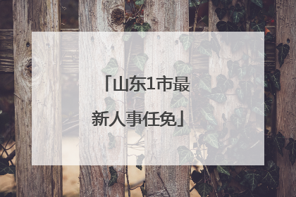 山东1市最新人事任免