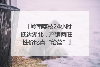 岭南荔枝24小时抵达湖北，产销两旺性价比真“给荔”