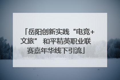 岳阳创新实践“电竞+文旅” 和平精英职业联赛嘉年华线下引流