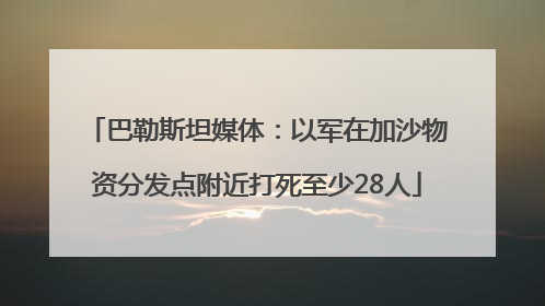 巴勒斯坦媒体：以军在加沙物资分发点附近打死至少28人