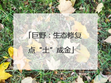 巨野：生态修复点“土”成金
